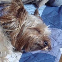 choco photo1-4