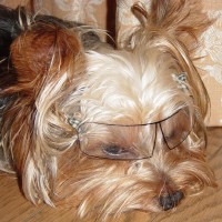 choco photo10-2