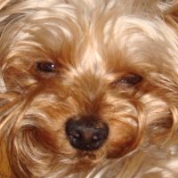 choco photo11-2