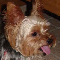choco photo11-4