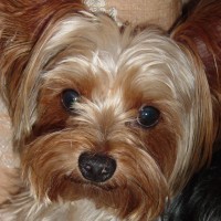 choco photo12-2