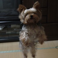 choco photo12-4