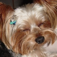 choco photo14-1
