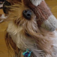choco photo14-3
