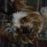 choco photo14-4