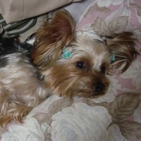 choco photo16-4