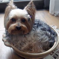 choco photo17-1