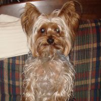 choco photo17-3