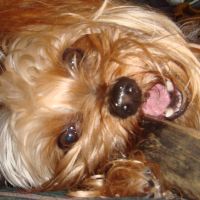 choco photo17-4