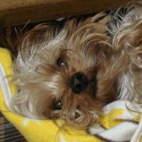 choco photo18-3