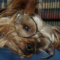 choco photo19-2