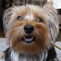 choco photo2-1