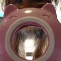 choco photo2-2
