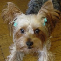choco photo2-4