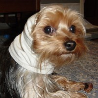 choco photo3-4