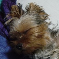 choco photo4-2