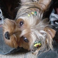 choco photo6-1