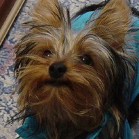 choco photo6-2