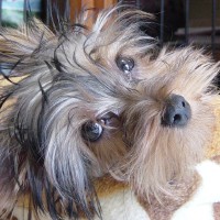 choco photo8-1