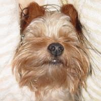choco photo9-3