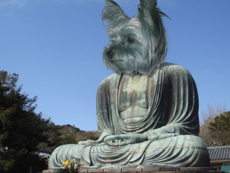 啧`R
